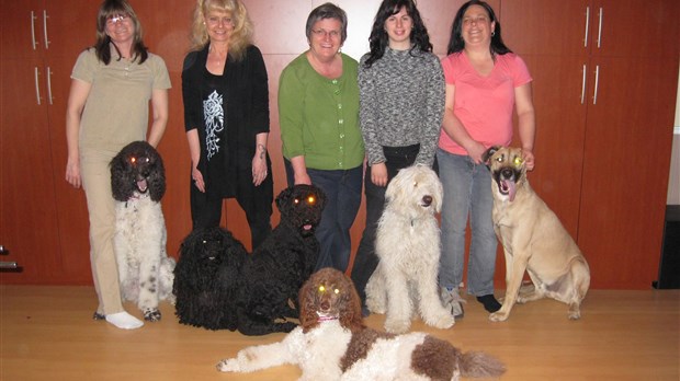 Avis aux propriétaires de chiens chamblyens
